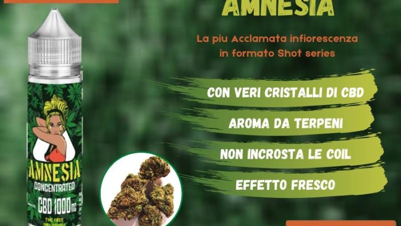 Amnesia, il profumatissimo concentrato di CBD al gusto Cannabis